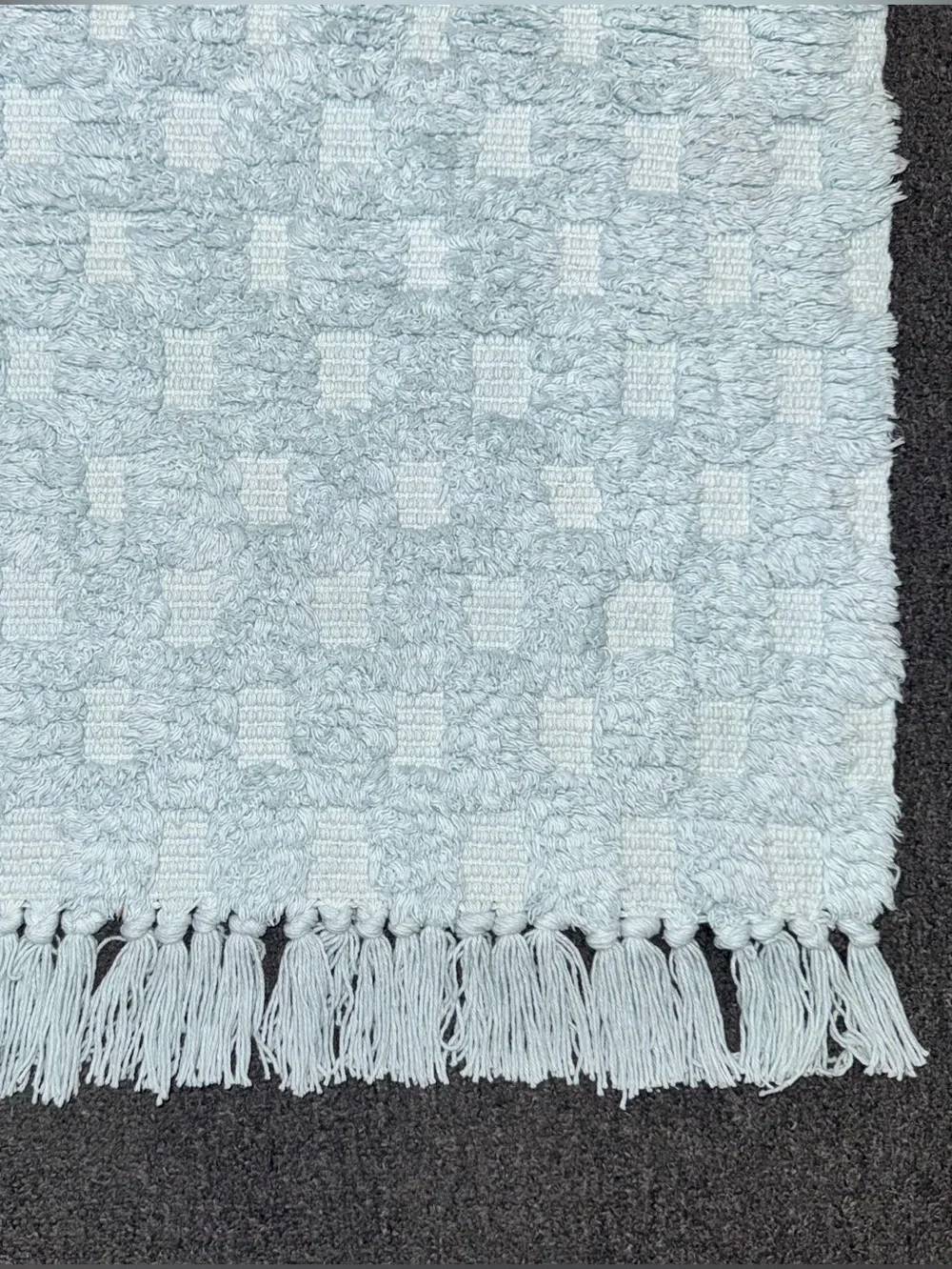 Home Collections Checkered Fringe Bath Mats Cotton Set of Two Aqua Blue 18x28 NW